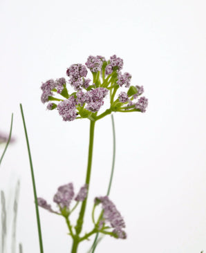 Een close-up van de Kunstgras Prei Bloem Ui Graspot 60cm, met zijn levensechte trossen lichtpaarse bloemen en lange groene steel, tegen een effen witte achtergrond.