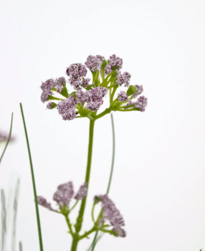 A close-up of the Artificial Grass Leek Flower Onion Grass Pot 60cm, with its lifelike bunches of light purple flowers and long green stem, against a plain white background.