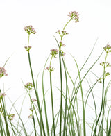 Kunstgras Prei Bloem Uien Graspot 120cm brandvertragend