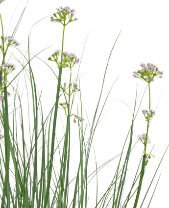 De Kunstgras Prei Bloem Uien Graspot 90cm brandvertragend heeft hoog, slank groen kunstgras en delicate witte bloemen tegen een effen witte achtergrond.