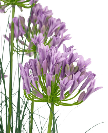 De Kunstgras paarse Agapanthus uiengraspot 90cm brandvertragend heeft een tros paarse kunst Agapanthus bloemen met slanke groene stelen en dunne bladeren tegen een witte achtergrond.