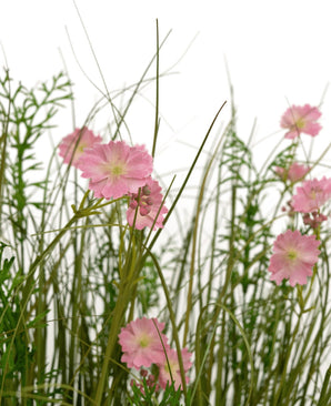 De Kunstgras roze Gesang Bloem uiengraspot 90cm brandvertragend heeft roze bloemen met een lichtgroen hart die bloeien tussen hoog, dun gras en weelderige bladplanten, allemaal tegen een witte achtergrond.