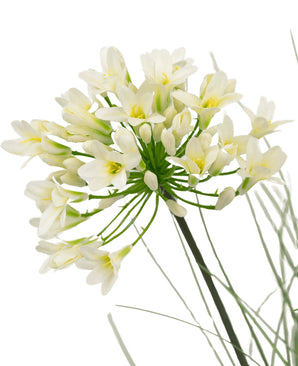 Een close-up van de Kunstgras witte Agapanthus uiengraspot 90cm brandvertragend toont delicate witte bloemen met een geel hart op lange groene stelen, omringd door piekerige bladeren, tegen een effen witte achtergrond.