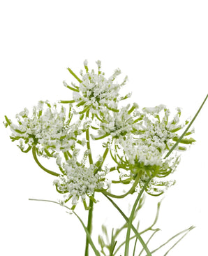 Artificial grass carrot flowers onion grass 50 cm fire retardant