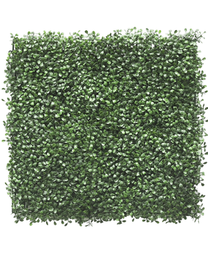 Kunsthaag Buxus 50x50 cm UV