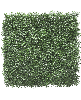 Kunsthaag Buxus 50x50 cm UV - Easyplants Artificial Plants & Flowers