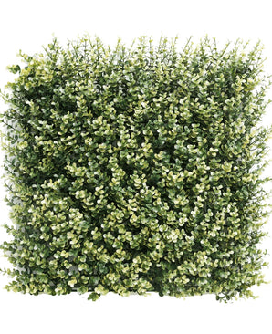 Artificial Boxwood Hedge Beige 50 x 50cm UV-resistant-Resistant