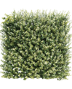 Kunsthaag Buxus Beige 50x50 cm UV