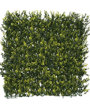 Kunsthaag Buxus yellow 50x50 cm UV