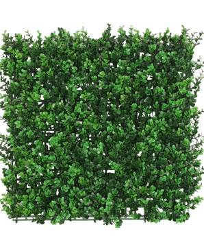 Kunsthaag Buxus Green 50x50 cm UV