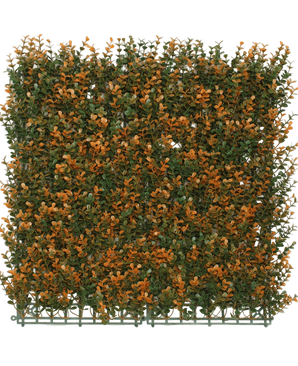 Kunsthaag Buxus Orange 50x50 cm UV