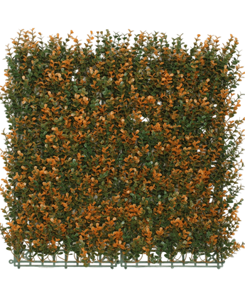 Kunsthaag Buxus Orange 50x50 cm UV - Easyplants Artificial Plants & Flowers