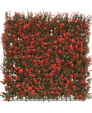 Kunsthaag Buxus red 50x50 cm UV
