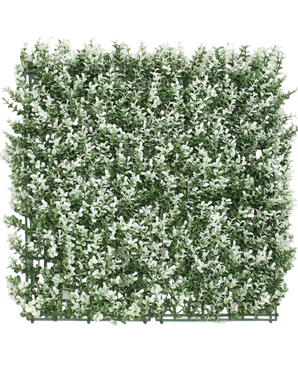 Kunsthaag Buxus White 50x50 cm UV