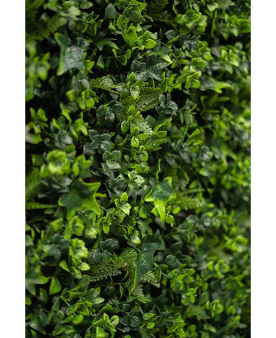 Close-up van dicht groen gebladerte met kleine bladplanten en wijnranken, met de weelderige Kunsthaag mattenmix 50x50 cm, perfect voor het maken van een levendige verticale groene wand.