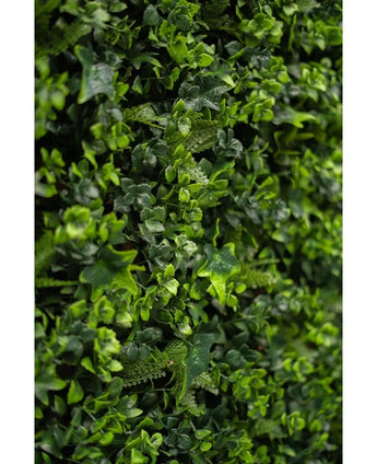 Close-up of dense green foliage with small leafy plants and vines, with the lush Artificial Hedge matting mix 50x50 cm, perfect for creating a vibrant vertical green wall.