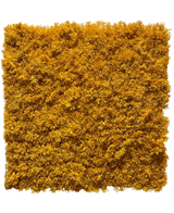 Artificial Hedge Moss Yellow Fire -Resistant 50x50cm - Easyplants Artificial Plants & Flowers