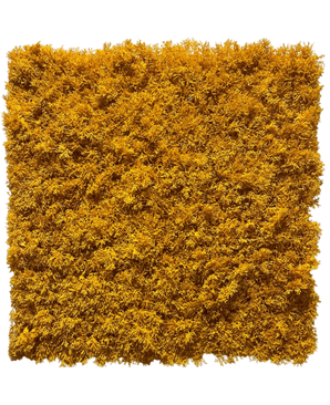 Artificial Hedge Moss Yellow Fire -Resistant 50x50cm - Easyplants Artificial Plants & Flowers