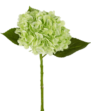 Artificial Hortensia "Annabelle" Real Touch Green 55cm - Easyplants Artificial Plants & Flowers
