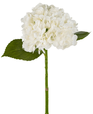 Artificial Hortensia "Annabelle" Real Touch White 55cm - Easyplants Artificial Plants & Flowers