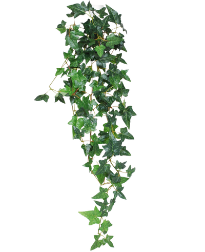 The artificial hanging plant Ivy Boston 100 cm green has pointed green ivy leaves on thin stems, which fall down against a white background.