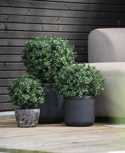 Drie ronde, groene Kunst Buxus op stam UV d30 cm struiken in geribbelde zwarte potten staan op een houten vlonder naast een lichtgrijze bank, met daarachter een donkerhouten muur.