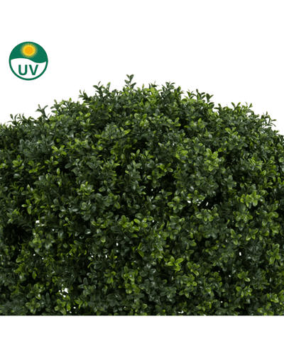 Een close-up van de Kunstplant Buxus op stam romeinse stijl UV 95cm toont dichte, glanzend groene kunstbladeren. Een UV-beschermingssymbool linksboven benadrukt de geschiktheid voor buitengebruik.