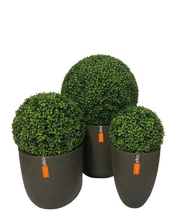 Three Artificial Plant Boxwood roman style UV D30cm topiary bulbs in dark gray pots, each with an orange label with white text, are grouped against a plain white background.