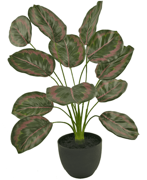 Artificial Calathea 58 cm green/red