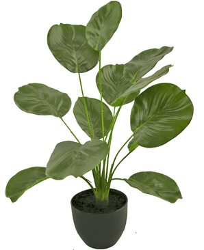 Artificial Calathea 58 cm green