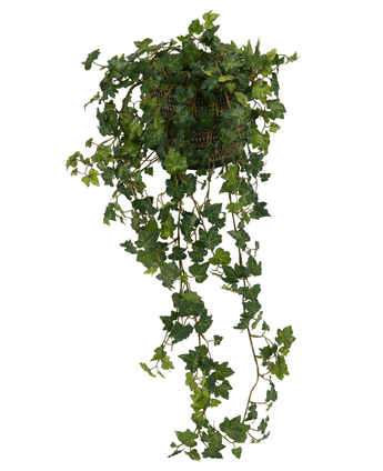 The Artificial Ivy Deluxe Green 90cm is a hanging basket with lush, green ivy vines that cascade elegantly against a white background.