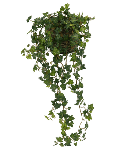 The Artificial Ivy Deluxe Green 90cm is a hanging basket with lush, green ivy vines that cascade elegantly against a white background.