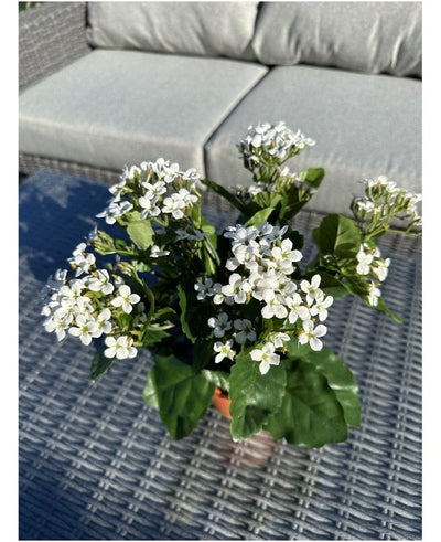 De Kunstbloem Kalanchoë plant UV 31 cm groot, met trosjes kleine witte bloemen en groene bladeren, staat op een rieten buitentafel met een grijze sofa met kussens op de achtergrond.