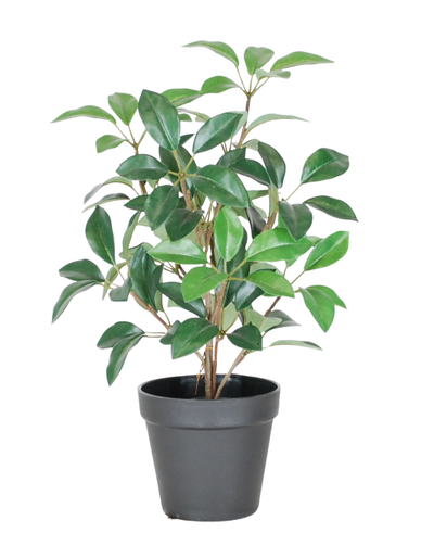 The Artificial Laurel in pot UV 43 cm is a small, lush green potted plant with multiple stems and oval leaves, presented in a simple black plastic pot against a white background.