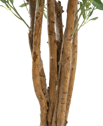 Close-up van een aantal bruine stammen met ruwe schors en een paar groene bladeren tegen een effen witte achtergrond, met de Kunst olijfboom UV 120 cm: een onderhoudsarme, UV-bestendige kunstplant voor duurzame schoonheid binnen of buiten.