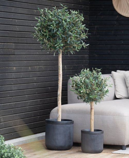 Two artificial olive trees UV 85 cm in a pot with round, leafy green foliage stand on a wooden deck next to a beige outdoor sofa and a wall with black panels. The larger tree is in a tall pot, the smaller one in a shorter pot.