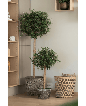 Twee Kunst olijfboom 85 cm UV potplanten met rond blad staan op een houten vloer bij een gevlochten mand met kussens. Een andere Kunst olijfboom 85 cm UV is gedeeltelijk zichtbaar op de linker stelling.