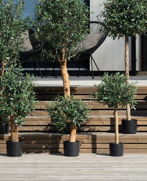 The Artificial olive tree UV 85 cm is a maintenance-friendly, UV-resistant artificial plant with a slender trunk and green leaves. This is located outside on wooden steps near a modern building with black window frames and garden chairs.