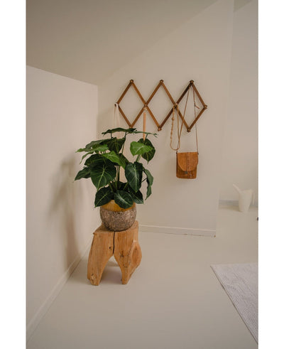 A minimalist room corner becomes a green oasis with the Artificial Plant Syngonium UV 58 cm on a natural wood stool, next to a brown leather bag on a geometric wall rack and a white jug, all against off-white walls and floor.