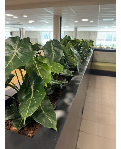 A row of Artificial Plant Syngonium UV 58 cm borders a planter on the counter, filling this bright, modern space with heart-shaped greenery and creating a green oasis near sunlit windows and sleek tiled floors.