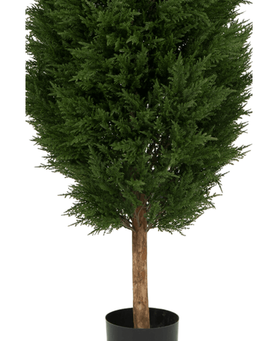 De Kunstplant Conifeer UV 180cm is een kunstgroene boom in pot met dicht donkergroen blad en een bruine stam, gepresenteerd in een eenvoudige zwarte pot tegen een witte achtergrond.