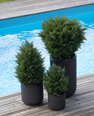 Drie Kunstplant Conifeer deluxe UV 60 cm in zwarte geribbelde plantenbakken brengen groen naar je houten terras bij het blauwe zwembad - ideaal voor een groene tuin met stijlvolle, weerbestendige kunstplanten buiten.
