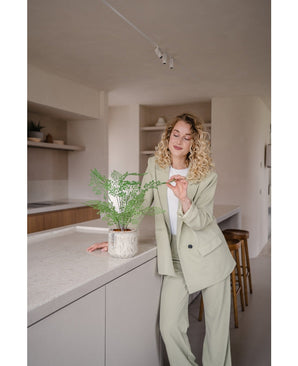 Artificial plant Fern 35 cm