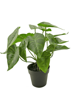 Artificial plant Swan 27 cm