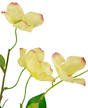 Het Kunstkornoelje Real Touch Lichtgeel 74cm heeft een steel met drie lichtgele, licht gegroefde bloemen met roze uiteinden en een paar groene blaadjes, afgebeeld tegen een witte achtergrond.