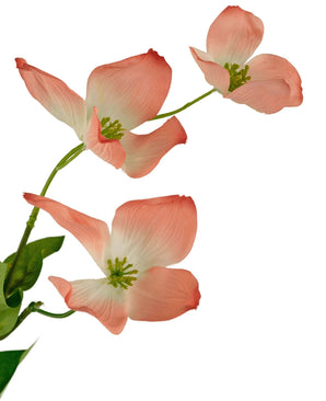 Op het Kunstkornoelje Real Touch Lichtroze 74cm staan drie lichtroze kornoeljebloemen met groene hartjes en blaadjes op een tak, tegen een witte achtergrond.