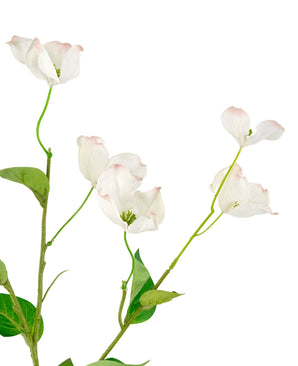 Het Kunstkornoelje Real Touch Wit 74cm heeft levensechte witte kornoelje bloemen met lichtroze randen en groene bladeren op slanke stelen, tegen een witte achtergrond.