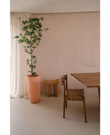 Artificial plant ficus 210 cm - Easyplants Artificial Plants & Flowers
