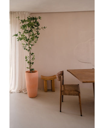 Artificial plant ficus 210 cm - Easyplants Artificial Plants & Flowers