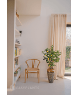 Artificial plant lemon tree 90 cm - Easyplants Artificial Plants & Flowers